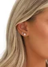 Say It With Silver Winged Earrings with CZ Stones - One Size Image 2
