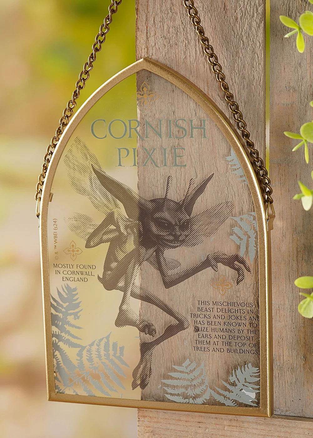 Harry Potter Warner Bros Herbology Gold Arch Plaque Cornish Pixie - One Size Image 1