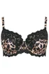 Yours Curve Black Leopard Print Lace Padded Bra - 44E Image 5