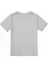 Toy Story Boys Grey Group T-Shirt (3-13yrs) - Age 12-13 Years Image 2