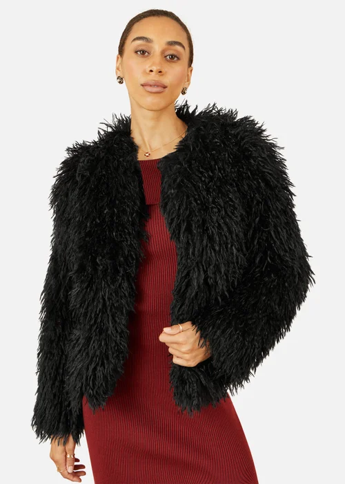 Yumi Black Lux Long Hair Fur Coat - 12 Image 2