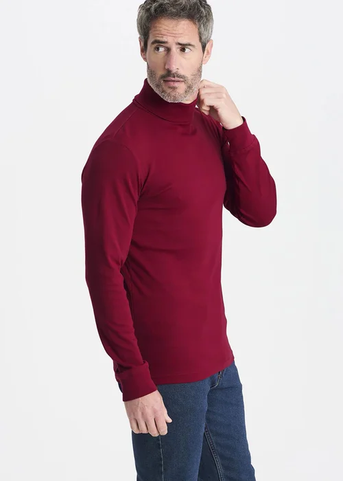Cotton Traders Crimson Long Sleeve Roll Neck Top - Small Image 1