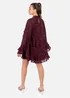 Anaya With Love Maroon Burnout Flared Long Sleeve Mini Dress - 14 Image 2