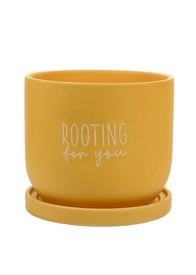 Country Living Yellow Ceramic Plant Pot Rooting For You