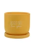 Country Living Yellow Ceramic Plant Pot Rooting For You - One Size Image 1