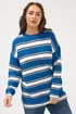 Yours Curve Blue Stripe Knitted Jumper - Size 18-20 Image 1