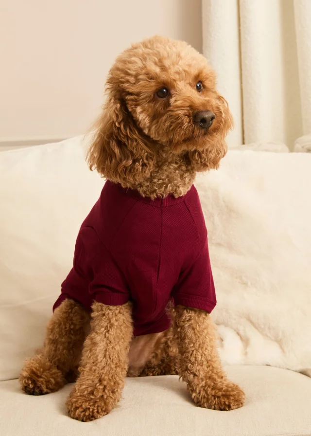 Pyjamily Rich Burgundy Midnight Jewel Pet One-Piece Matching Pyjamas
