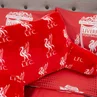Liverpool FC Target Cuddle Cushion Red - One Size Image 5