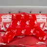 Liverpool FC Target Cuddle Cushion Red - One Size Image 1