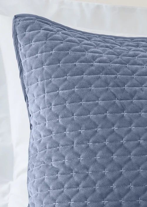 Bianca Fine Linens Attica Velvet Embroidered Pillow sham Pair Blue - One Size Image 2