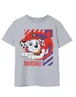 Vanilla Underground Paw Patrol Kids Marshall Grey Marl T-Shirt - Age 3-4 Years Image 1