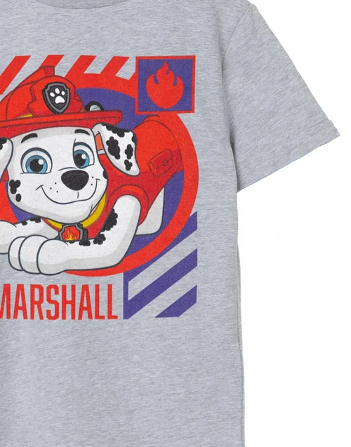 Vanilla Underground Paw Patrol Kids Marshall Grey Marl T-Shirt - Age 3-4 Years Image 4