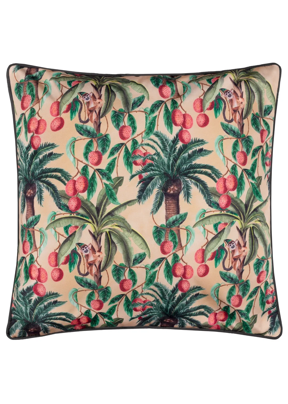 Wylder Monkey Palm Papyrus Outdoor Cushion (45 x 45cm) - 45cm x 45cm Image 1