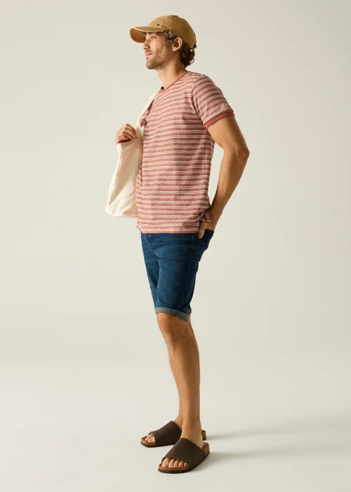 Regatta Brick White Stone Stripe Benlin T-Shirt - 3XL Image 3