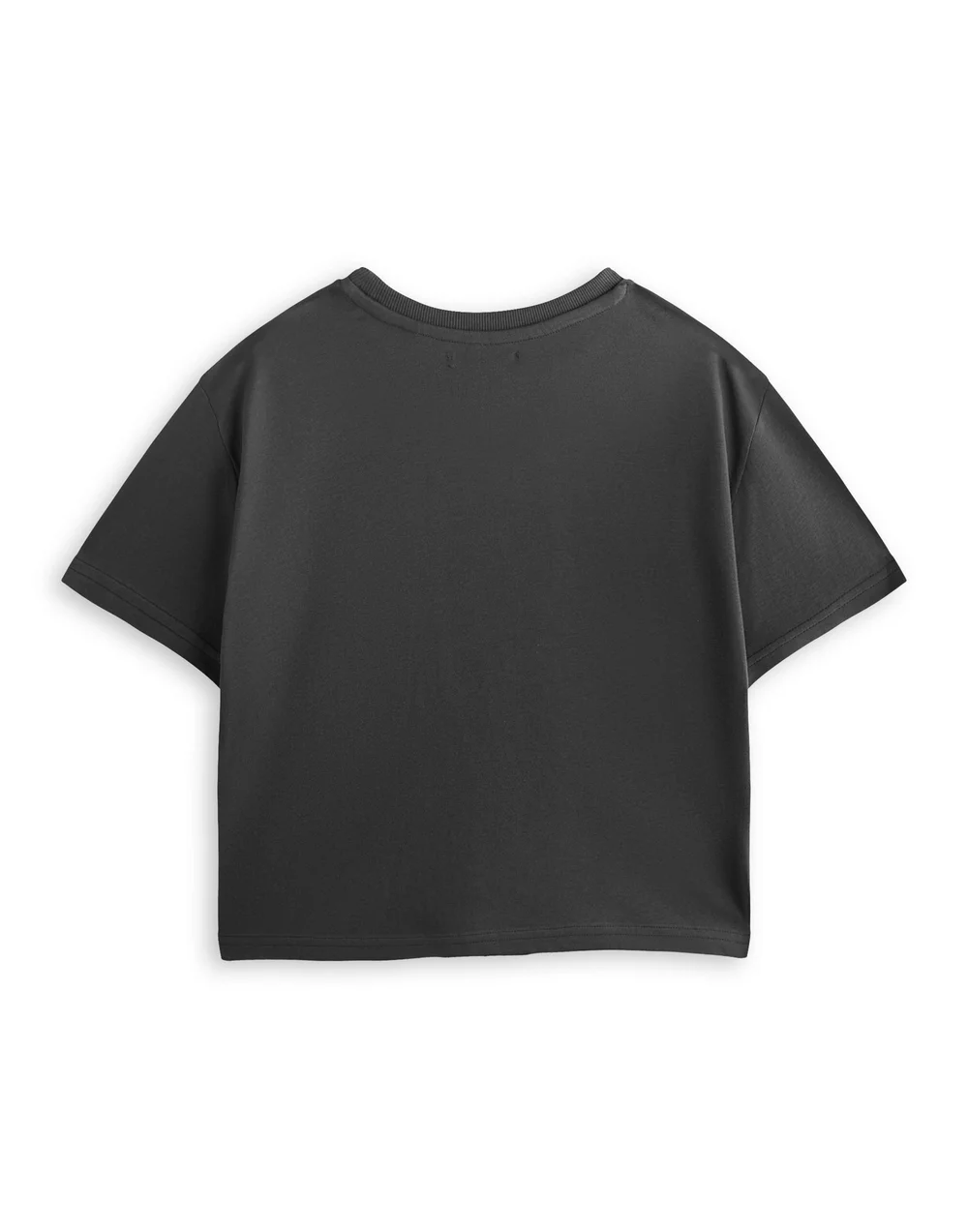 Vanilla Underground Twilight Team Edward Grey Cropped T-Shirt - Large Image 2