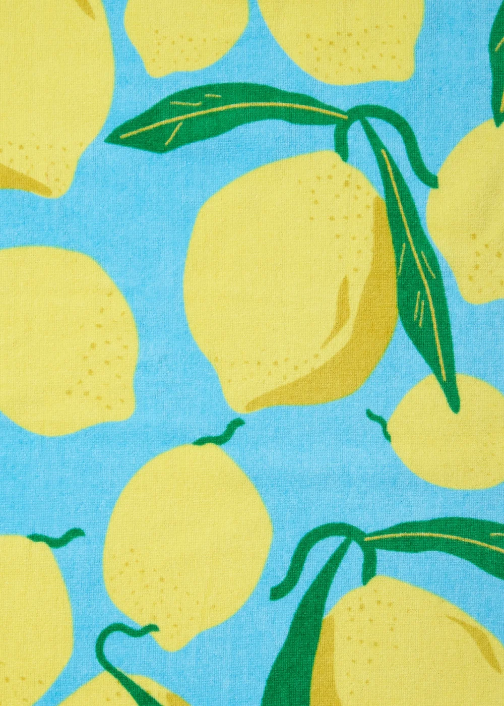 Catherine Lansfield Lemons Cotton Beach Sun Lounger Towel Aqua Blue - One Size Image 3
