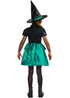 Wizard Of Oz Witch Costume (5-10 Years) - 9-10 Yrs Image 2