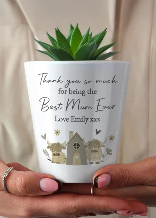 Personalised Memento Company Highland Cow Plant Pot White - One Size Image 2