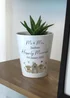 Personalised Memento Company Highland Cow Plant Pot White - One Size Image 3