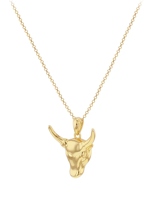 Golden Moments Sterling Silver Gold Plated Small Steer Head Pendant on Chain - One Size Image 1