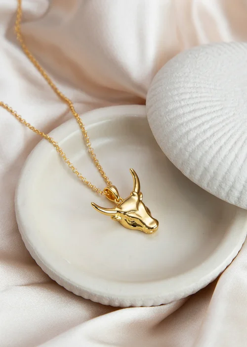 Golden Moments Sterling Silver Gold Plated Small Steer Head Pendant on Chain - One Size Image 3