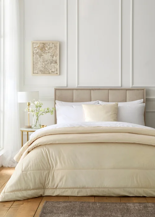 Appletree Harlan Velvet Cream Filled Cushion - 55 x 55cm Image 3