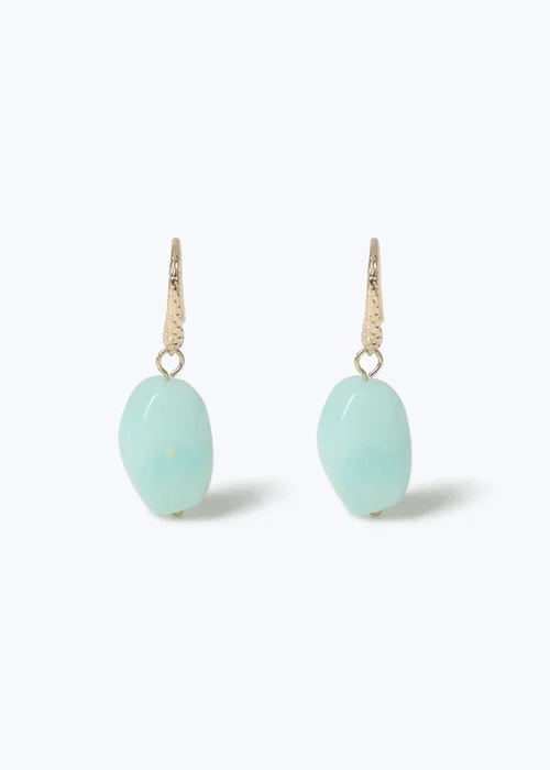 Muse Turquoise Stone Fish Hook Drop Earrings - One Size Image 1