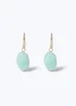 Muse Turquoise Stone Fish Hook Drop Earrings - One Size Image 1