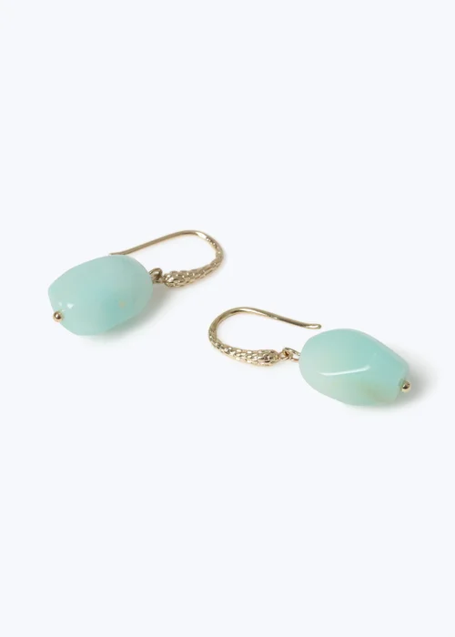 Muse Turquoise Stone Fish Hook Drop Earrings - One Size Image 2