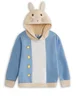 Vanilla Underground Peter Rabbit Unisex Kids Blue Hoodie (12 mnths - 5 years) - 18-24 months Image 1