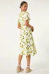 Roman Ivory Petite Lemon Print Button Tea Dress - 16 Image 3