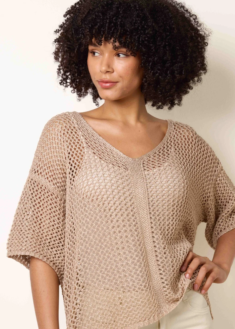Blue Vanilla Gold Mesh Knitted Top With Short Sleeves - One Size Image 1
