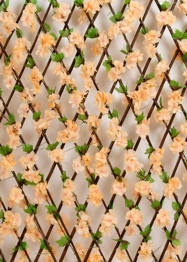 Scottish Everlastings Peach Blossom Expanding Trellis with LED Lights (170x90cm)