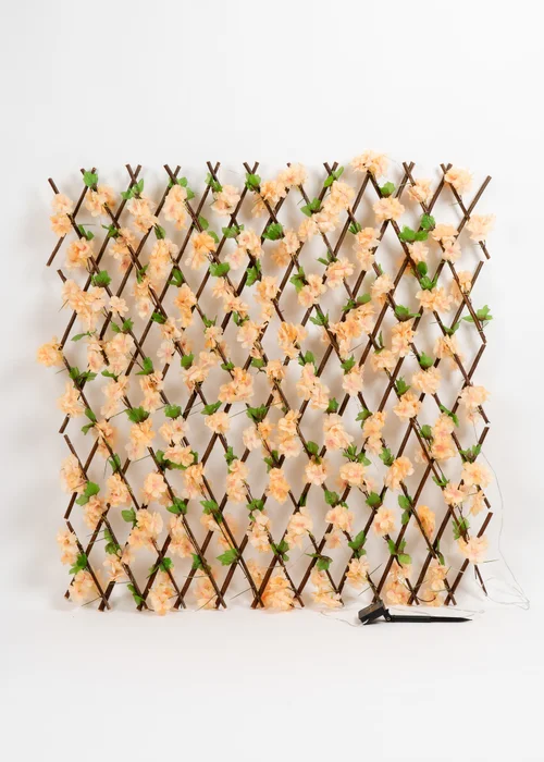 Scottish Everlastings Peach Blossom Expanding Trellis with LED Lights (170x90cm) - One Size Image 1