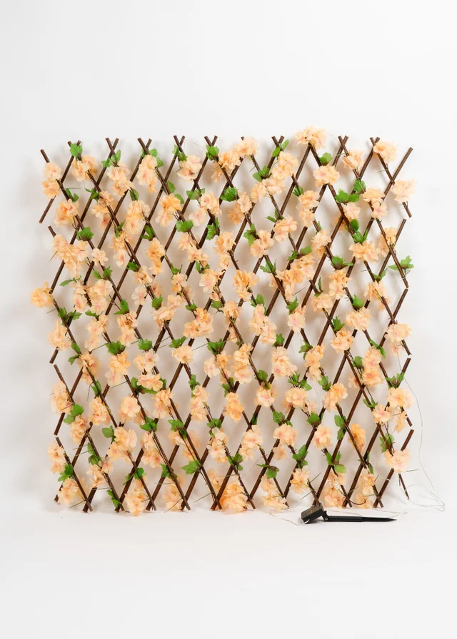 Scottish Everlastings Peach Blossom Expanding Trellis with LED Lights (170x90cm)