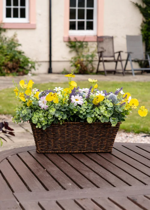 Scottish Everlastings Yellow Mixed Floral Outdoor Planter (50cm) - One Size Image 3