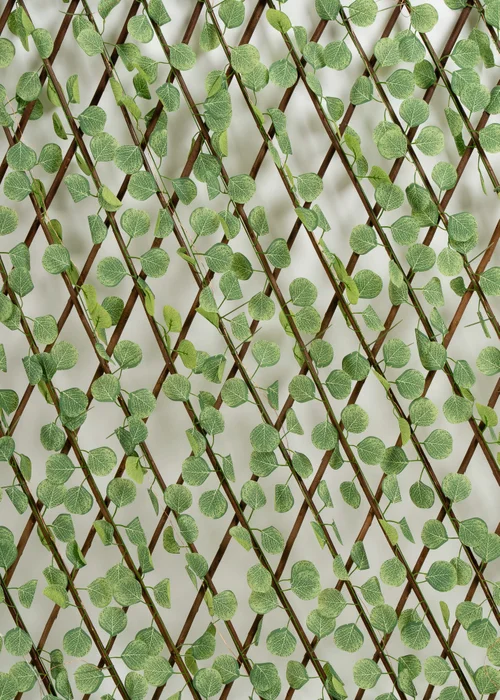 Scottish Everlastings Light Green Eucalyptus Expanding Trellis with LED Lights - One Size Image 2