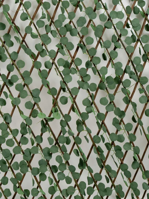 Scottish Everlastings Green Eucalyptus Expanding Trellis with LED Lights (170x90cm) - One Size Image 4