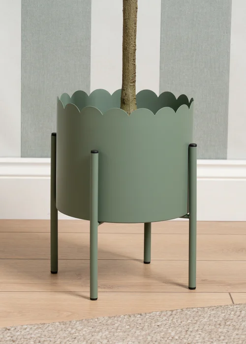 Scottish Everlastings Green Scallop Planter - One Size Image 3