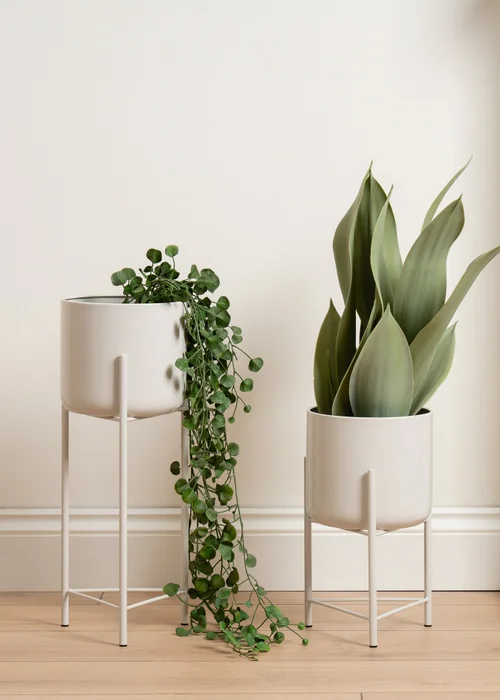 Scottish Everlastings Set of 2 Light Beige Planters - One Size Image 3