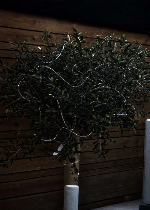 ValueLights LED 5M Warm White Battery Operated Outdoor Remote Controlled Chain Lights - One Size Image 2