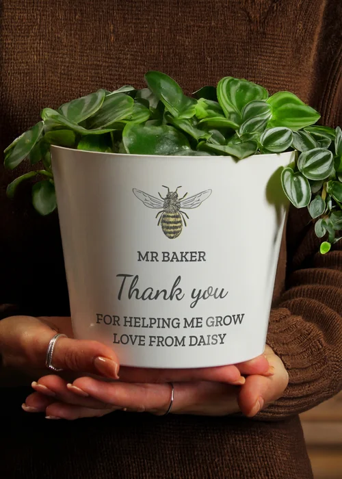Personalised Memento Company White Bee Plant Pot - One Size Image 3