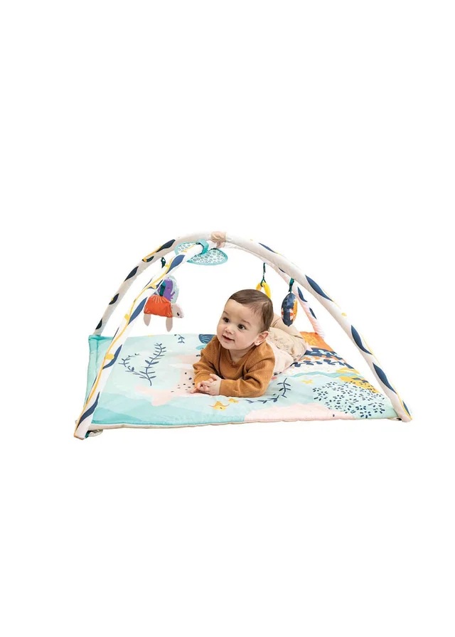 Infantino 3 in 1 Underwater Ocean Gym