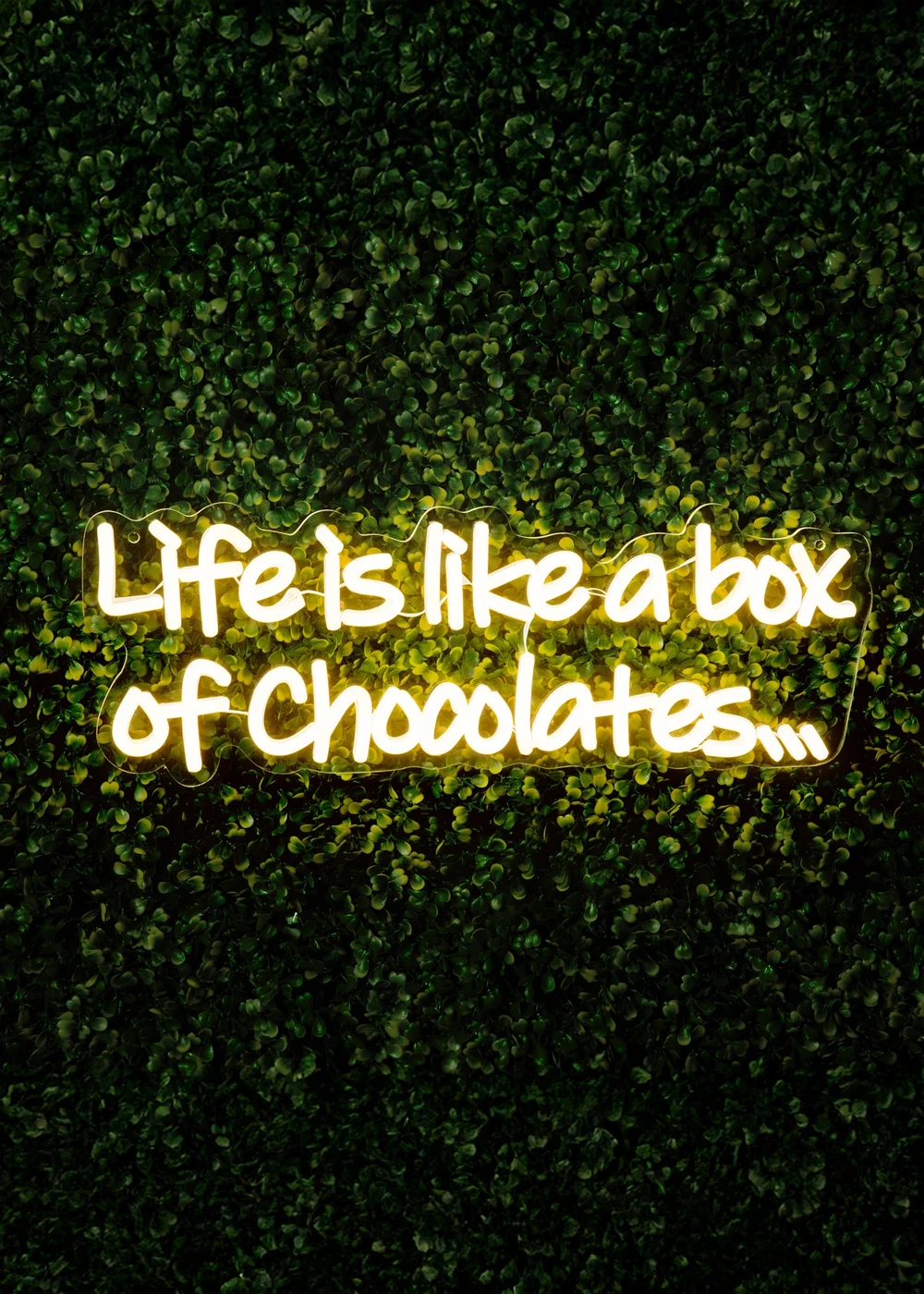Premier Decorations LED Neon Life is Like a Box of Chocolates Sign - One Size Image 1