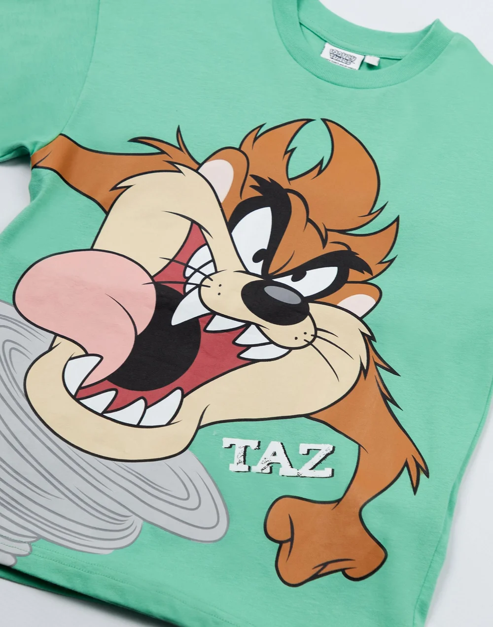 Vanilla Underground Looney Tunes Boys Green Taz Short Sleeved T-Shirt (2-10 Years) - 6-7 Yrs Image 3
