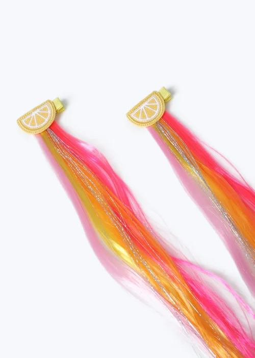 Muse 2 Pack Multi Colour Fake Hair Clips - One Size Image 2