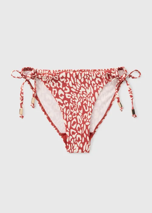 Rust Animal Bikini Briefs - 8 Image 2