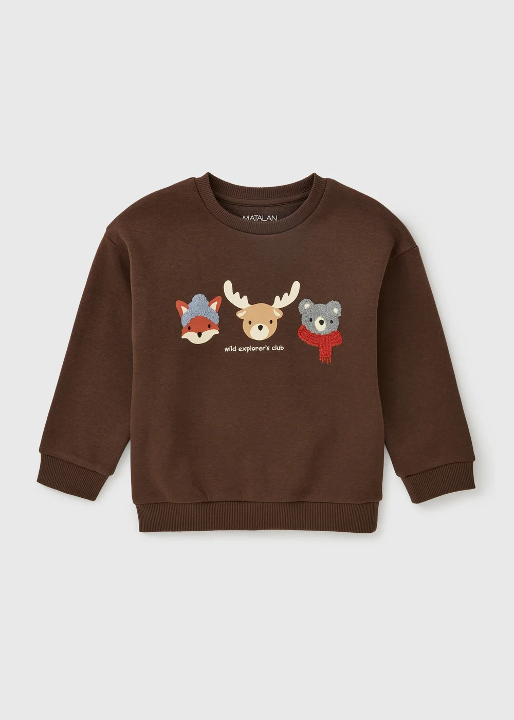 Boys Brown Autumn Animals Sweatshirt (1-8yrs) - 1-1.5 Yrs Image 1