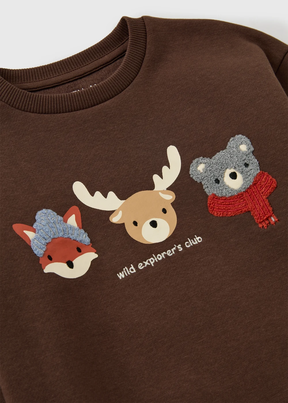 Boys Brown Autumn Animals Sweatshirt (1-8yrs) - 1-1.5 Yrs Image 2