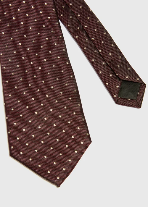Taylor & Wright Burgundy Polka Dot Tie - One Size Image 2